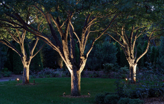 Landscape Lighting
