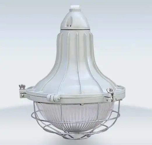Fixed Explosion Proof Light